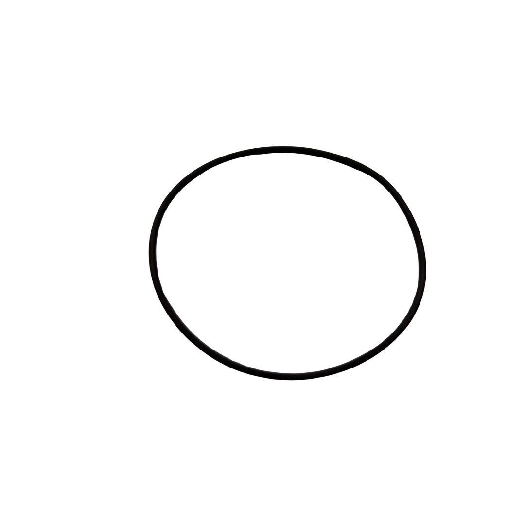 O RING, SEAL SUPPORT 90R100