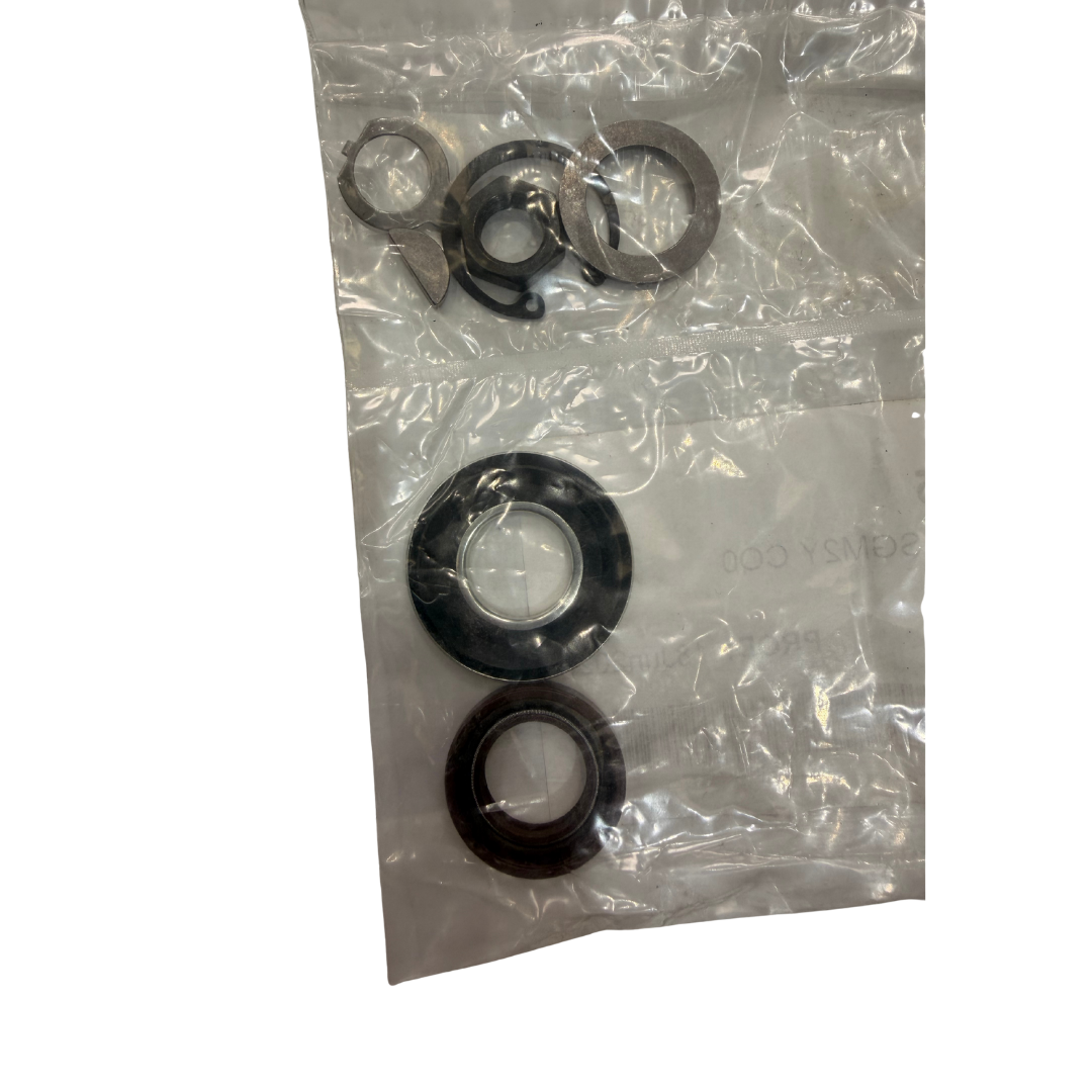 SEAL KIT, HYD MOTOR, SGM2Y