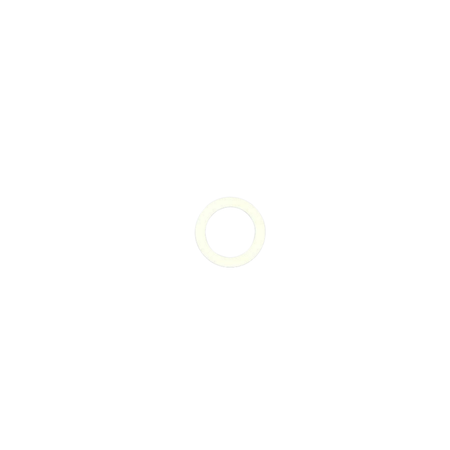 O RING, ALTEK MULTISPRAY SEAL
