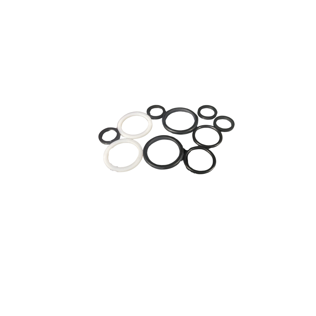KIT O RING P.O. CHECK DOUBLE