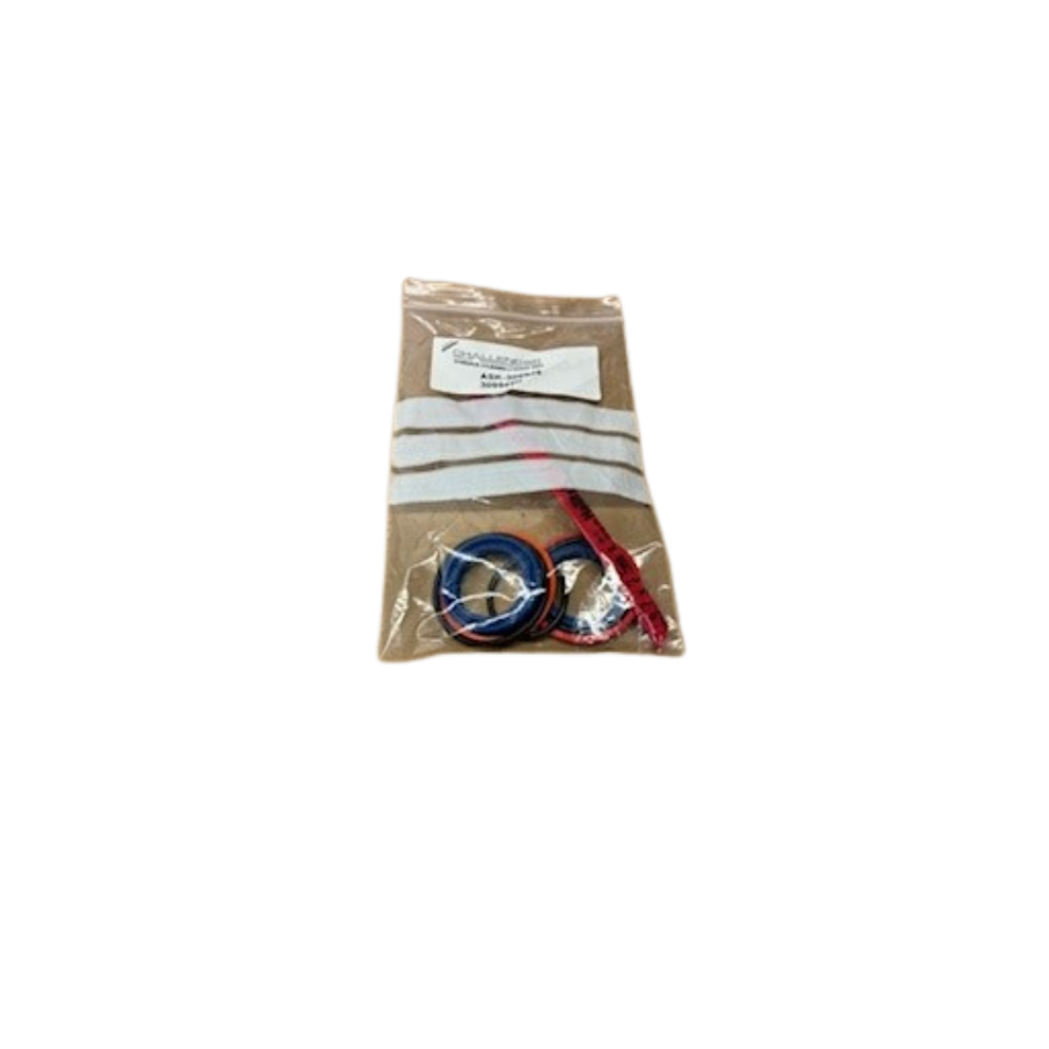SEAL KIT 309946H RAM