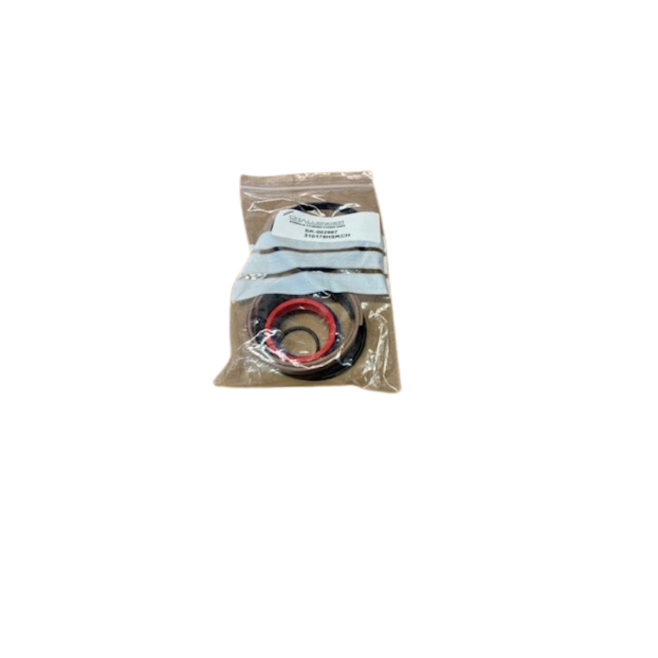 SEAL KIT, 310179H RAM