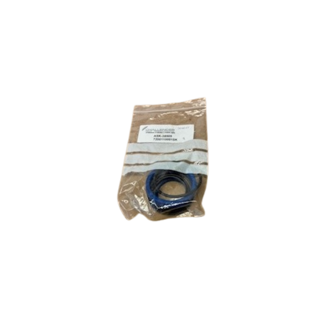 KIT SEAL, STEER.RAM-S & S/SPRT