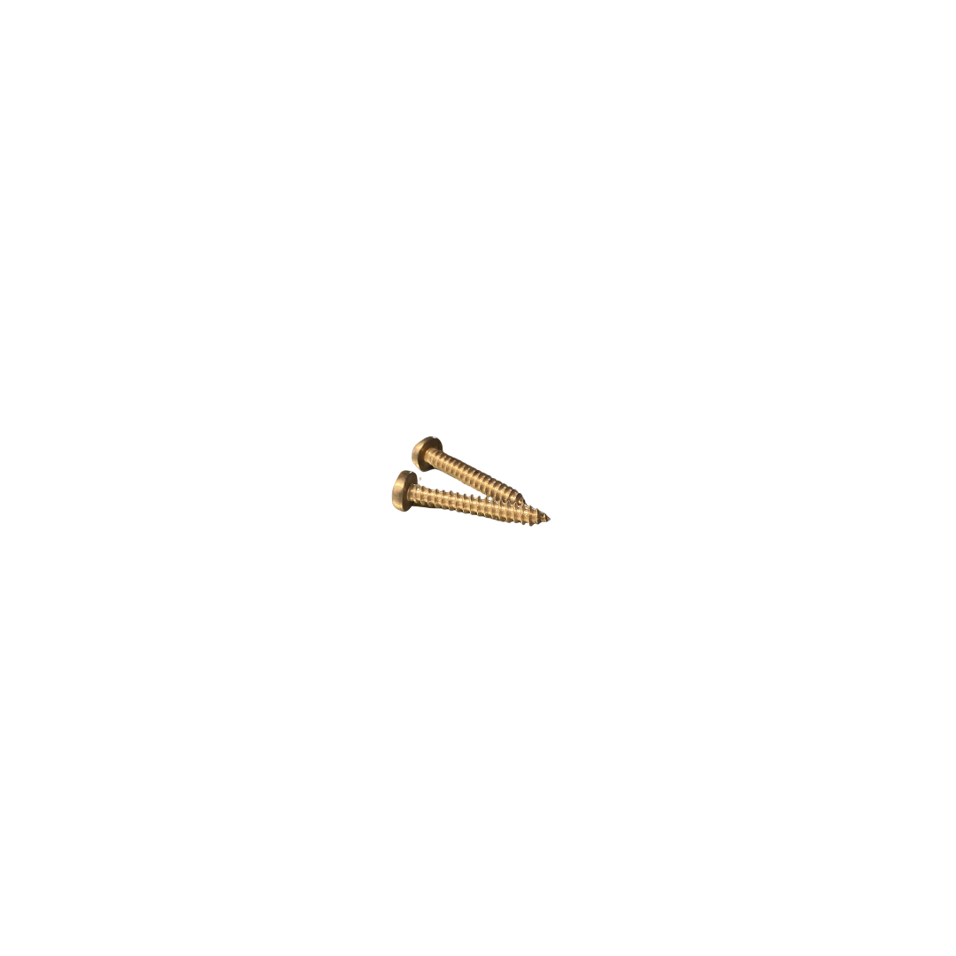SCREW 1.1/4 HINGED TEEJET