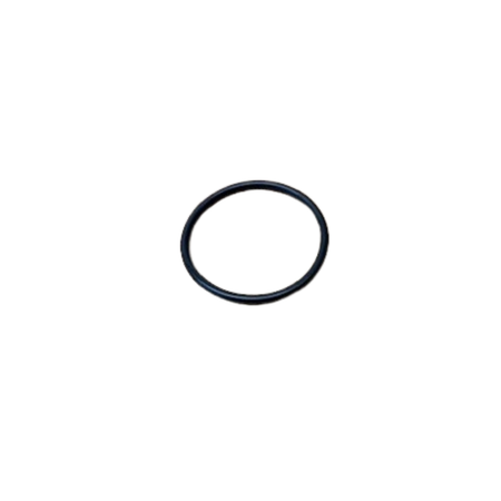O RING F/FILTER HOOD OLD TYPE
