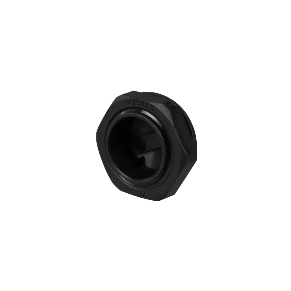 PLUG, BLANKING, 2"