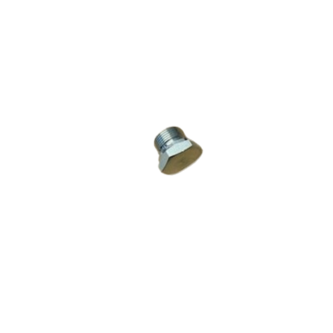 PLUG MALE THREAD - 3/4 BSPM
