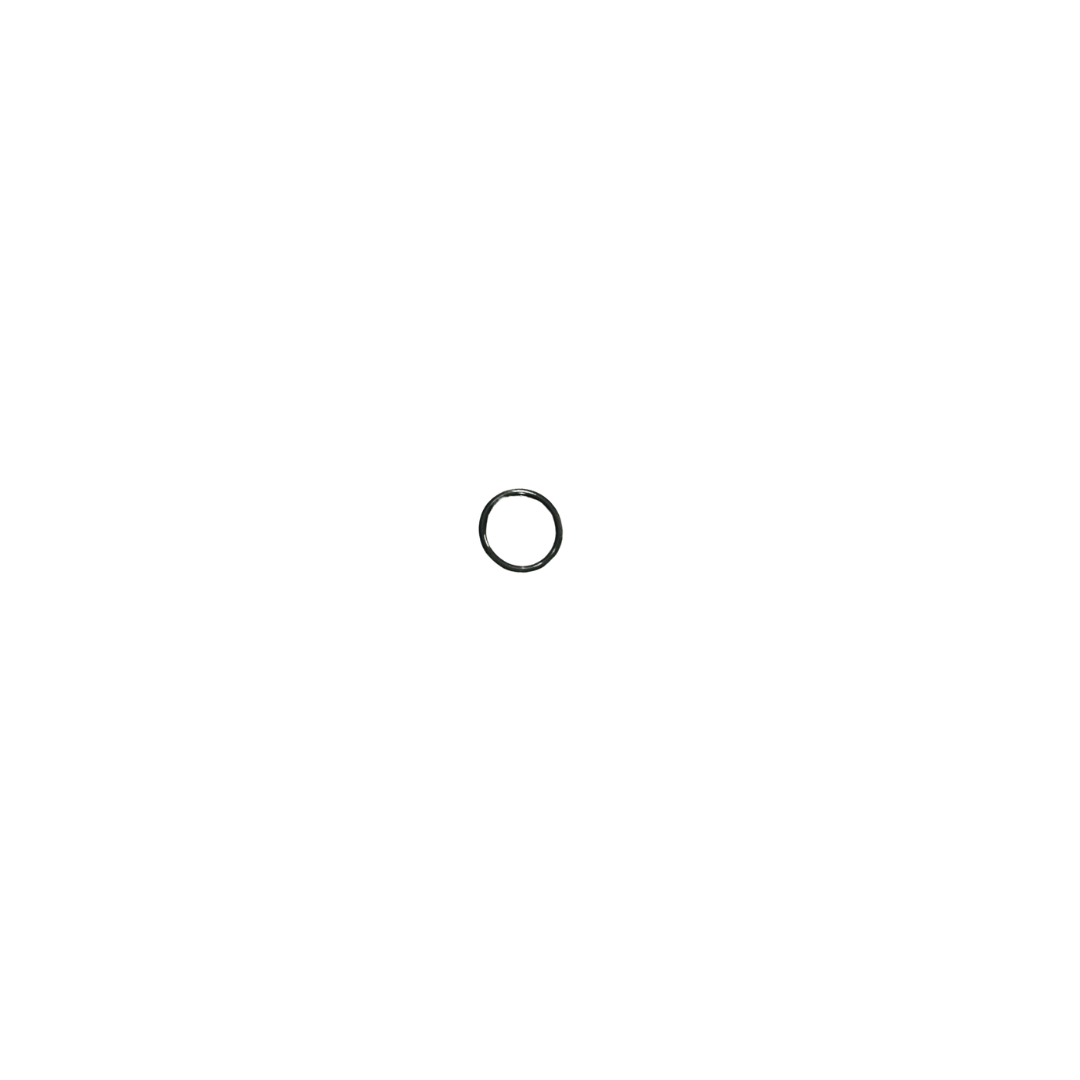 SPRAY STOP O RING (LARGE)
