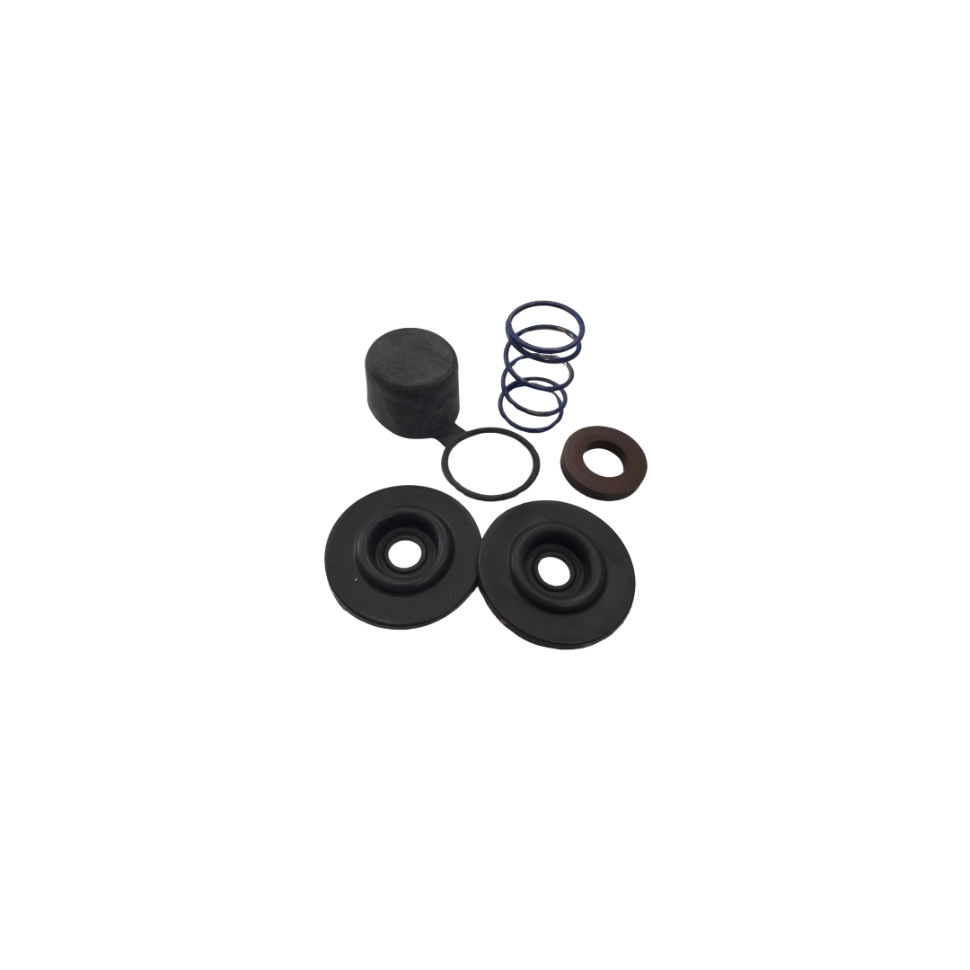 REPAIR KIT(VITON)-144 DIRECTOV