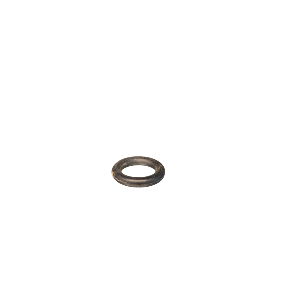 O RING-NOZZLE BODY SPIGOT
