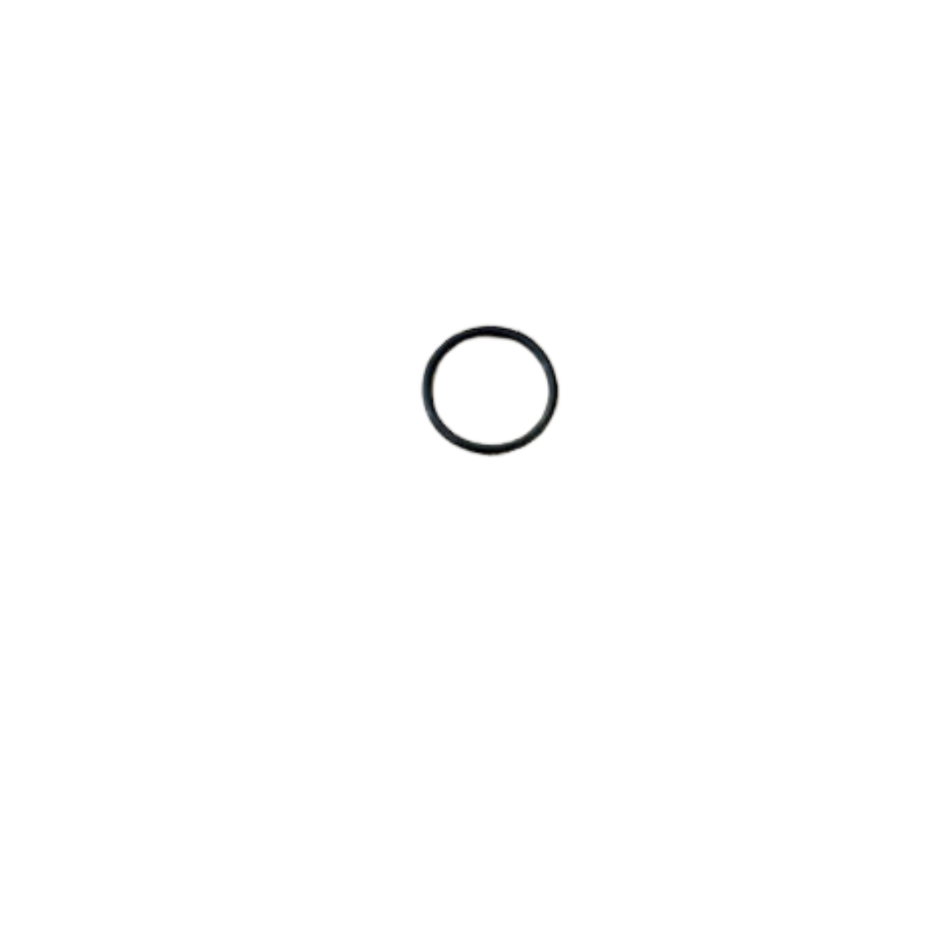 VALVE O RING-UDOR